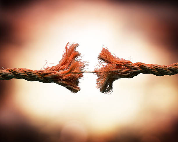 When Trust Hurts the Recovery